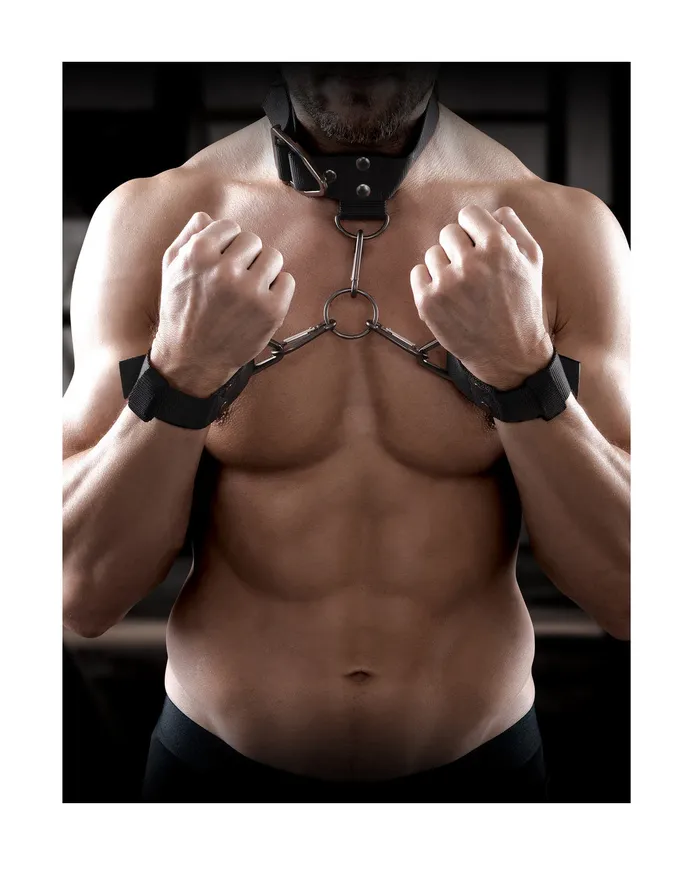 Anal Sir Richards Sir Richards Command Cuff and Collar Set
